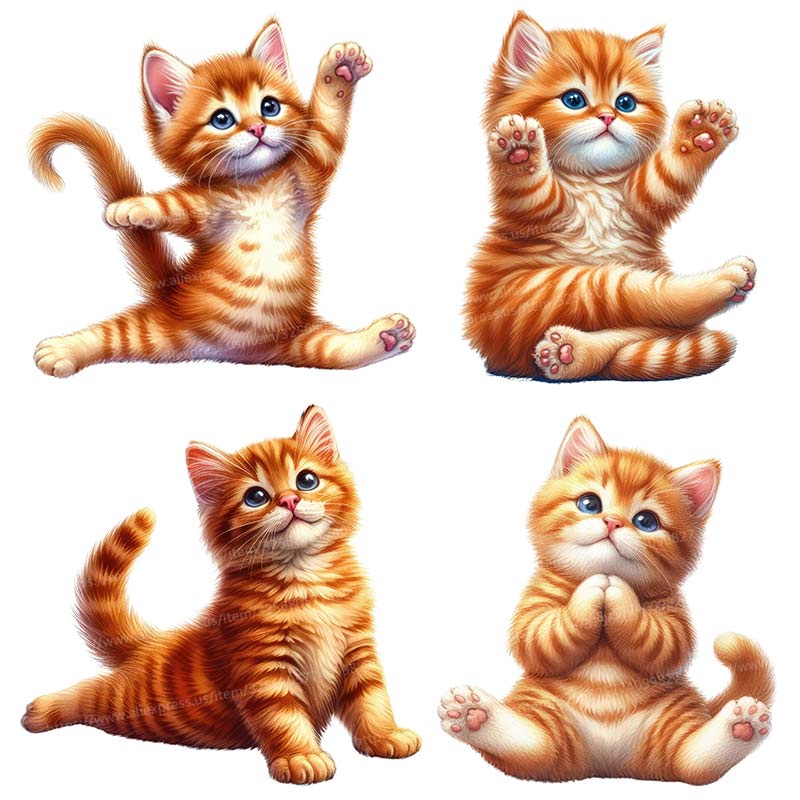 Yoga Cat  Wall Sticker Removab - Home Office Yoga Room recension och pris