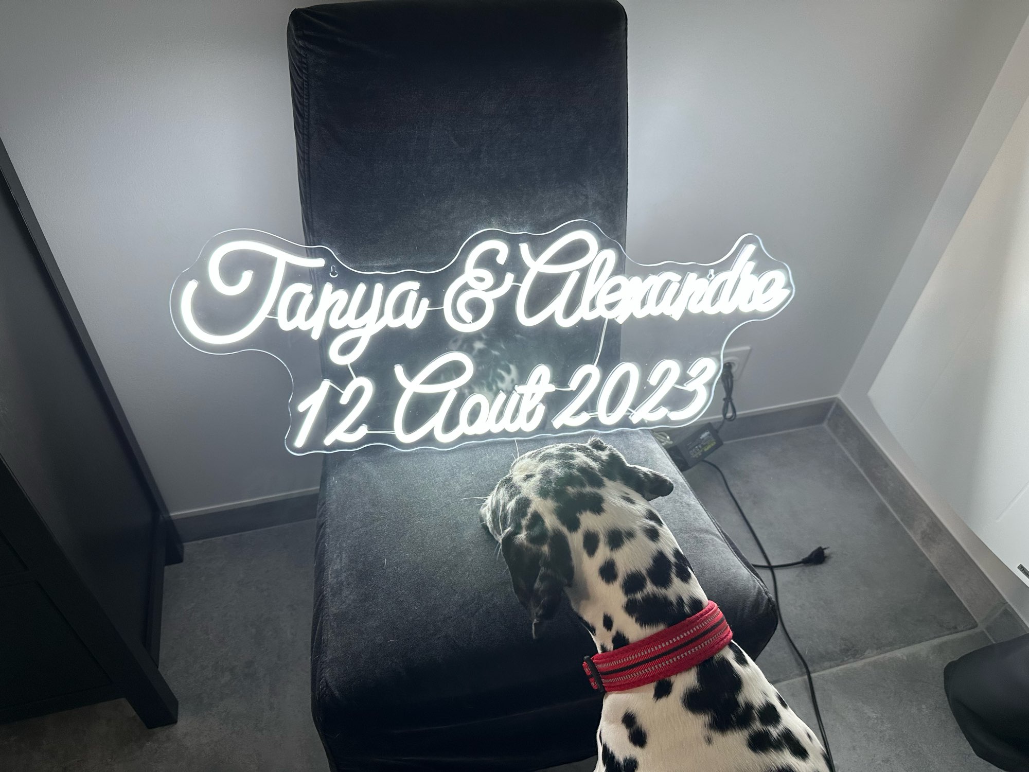 Custom Neon Sign LED Neon Ligh - Home Office Logo recension och pris